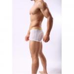 Мужские трусы боксеры с золотым поясом Cockon Boxer White 828