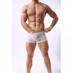 Мужские трусы боксеры с золотым поясом Cockon Boxer White 828