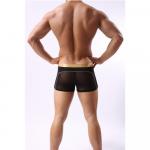 Мужские трусы боксеры с золотым поясом Cockon Boxer Black 828